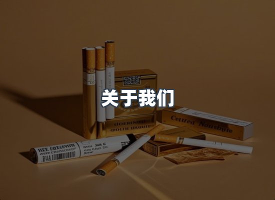 关于我们
